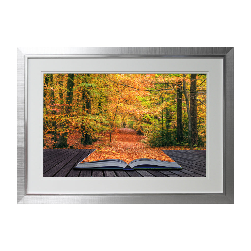 A Leaf out of your Book 63x87cm