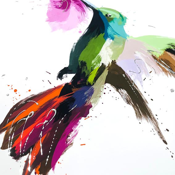 Hummingbird 1 Painting Print