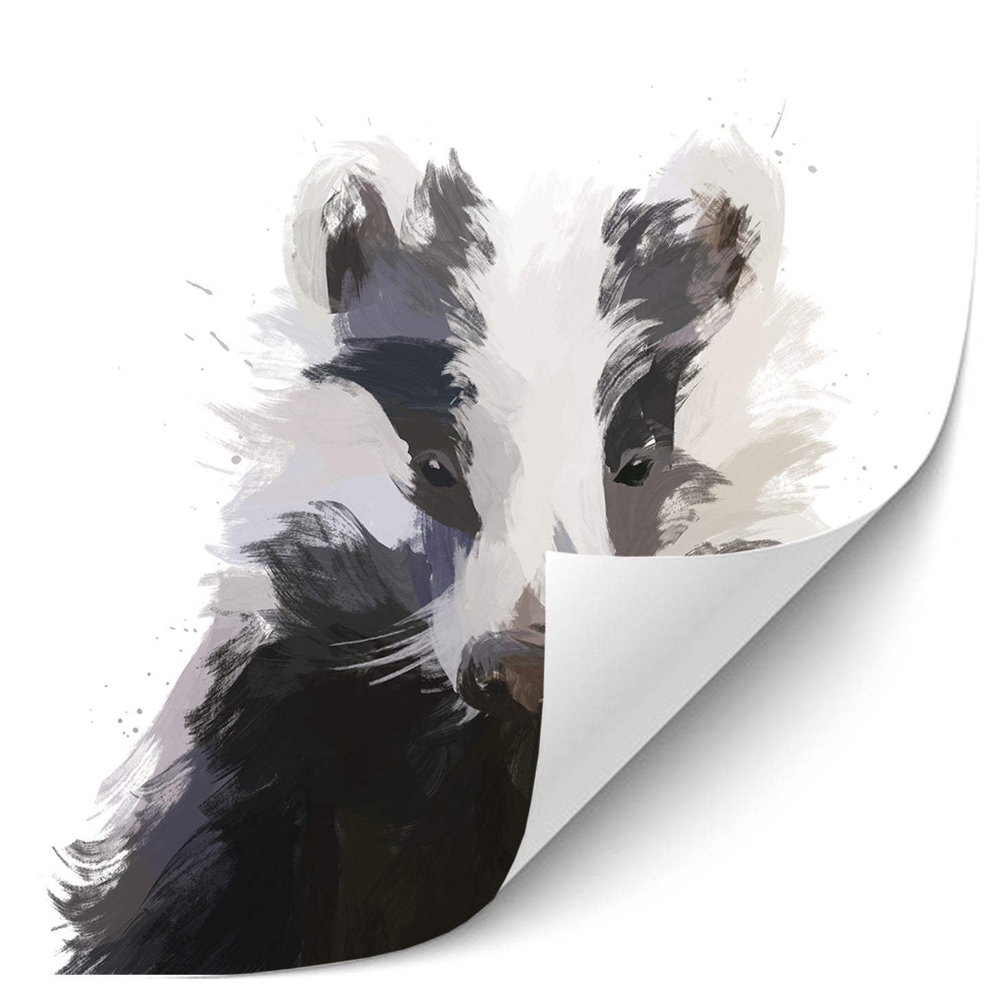 Badger White Painting Print