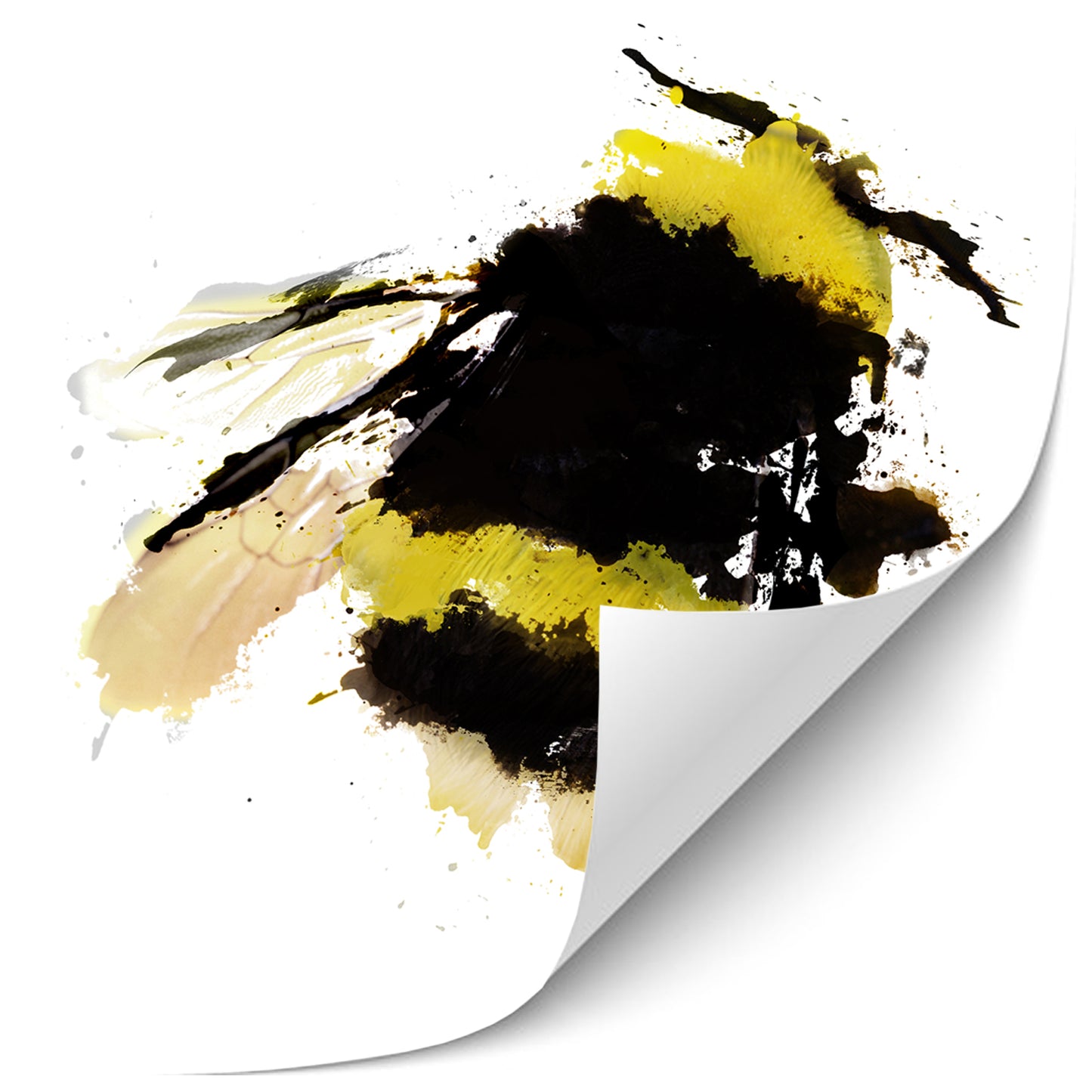 Scruffy Bee 1 Painting Print