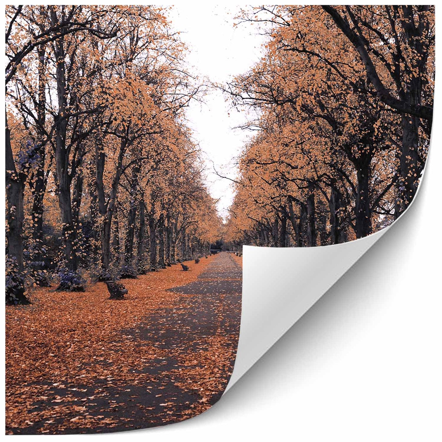 Trees Bronze Print