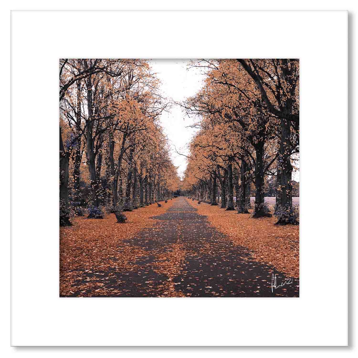 Trees Bronze Print