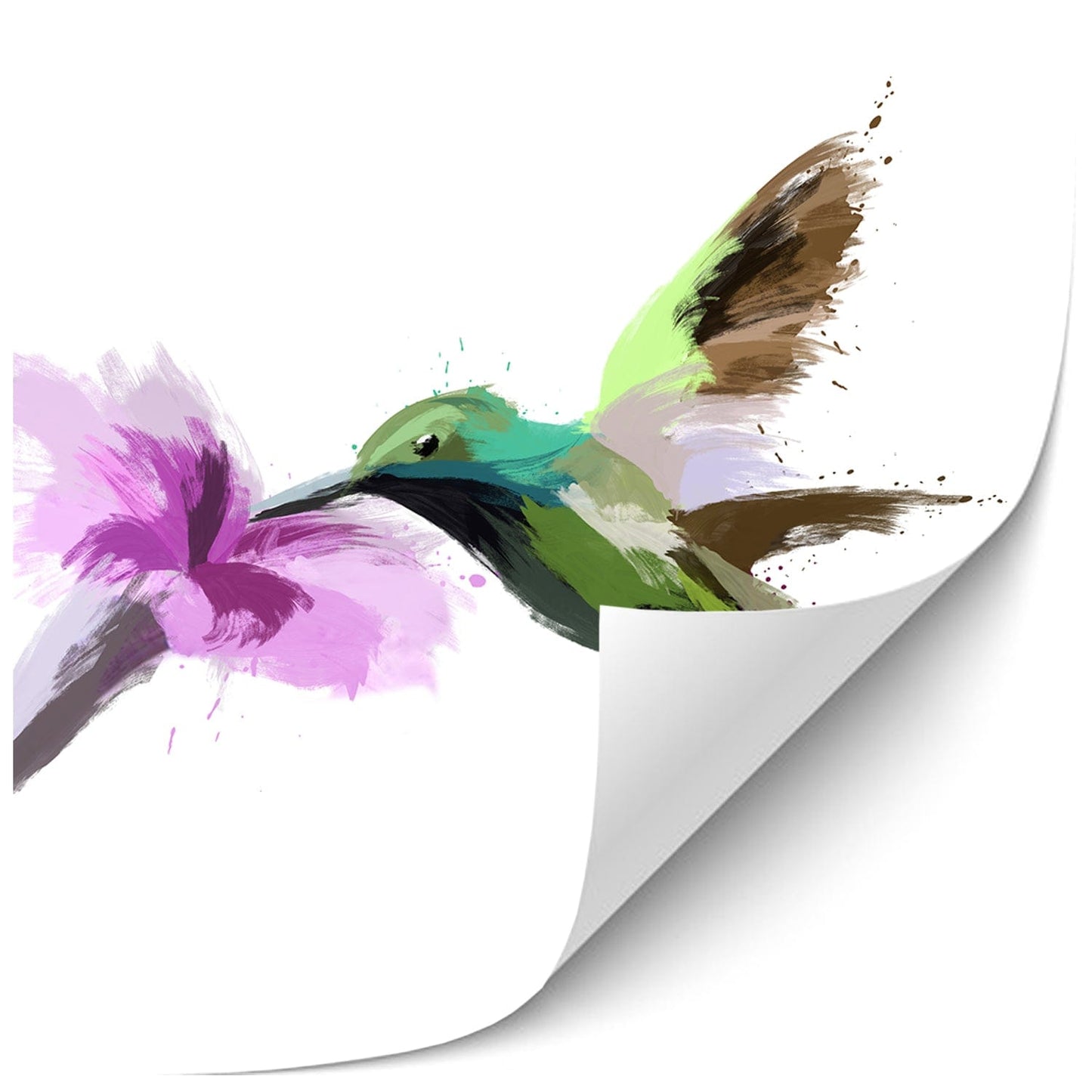 Hummingbird 1 Painting Print