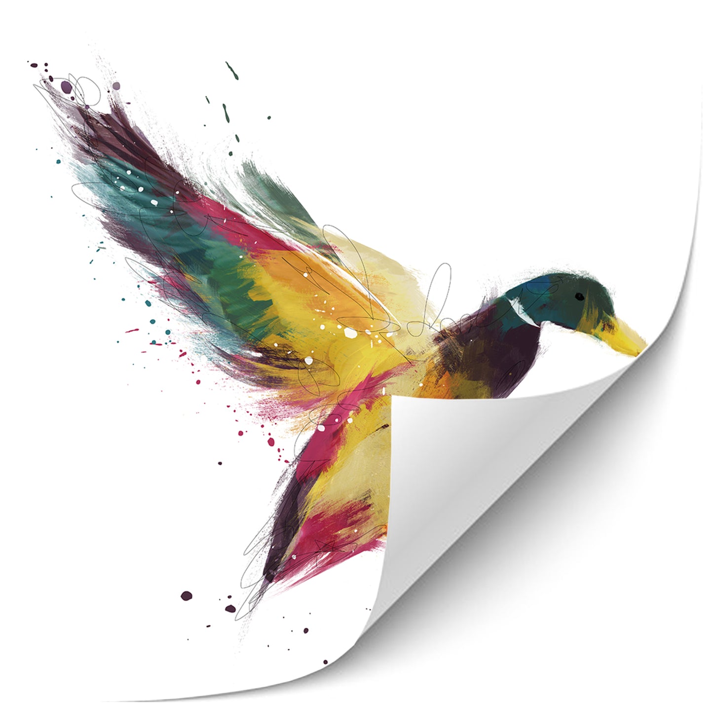 Duck Multicoloured Painting Print