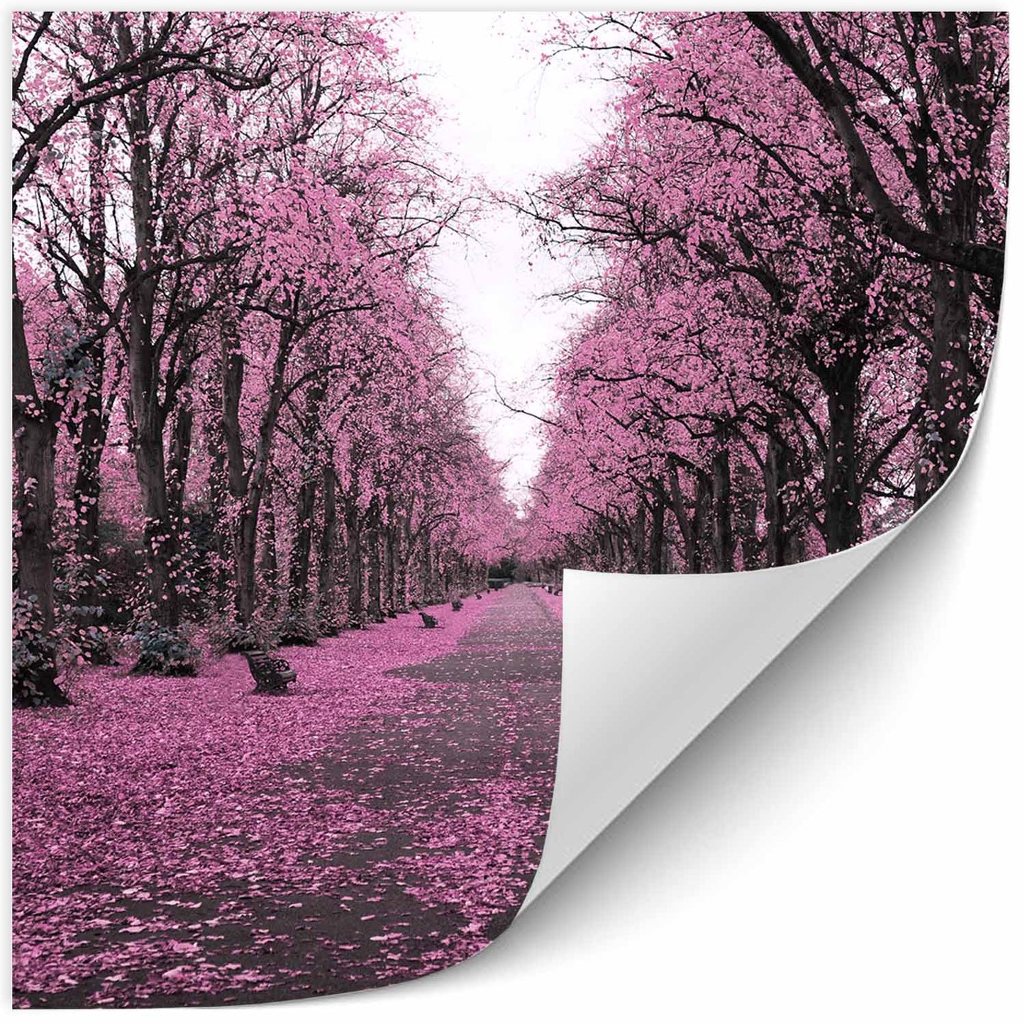 Trees Pink Painting Print