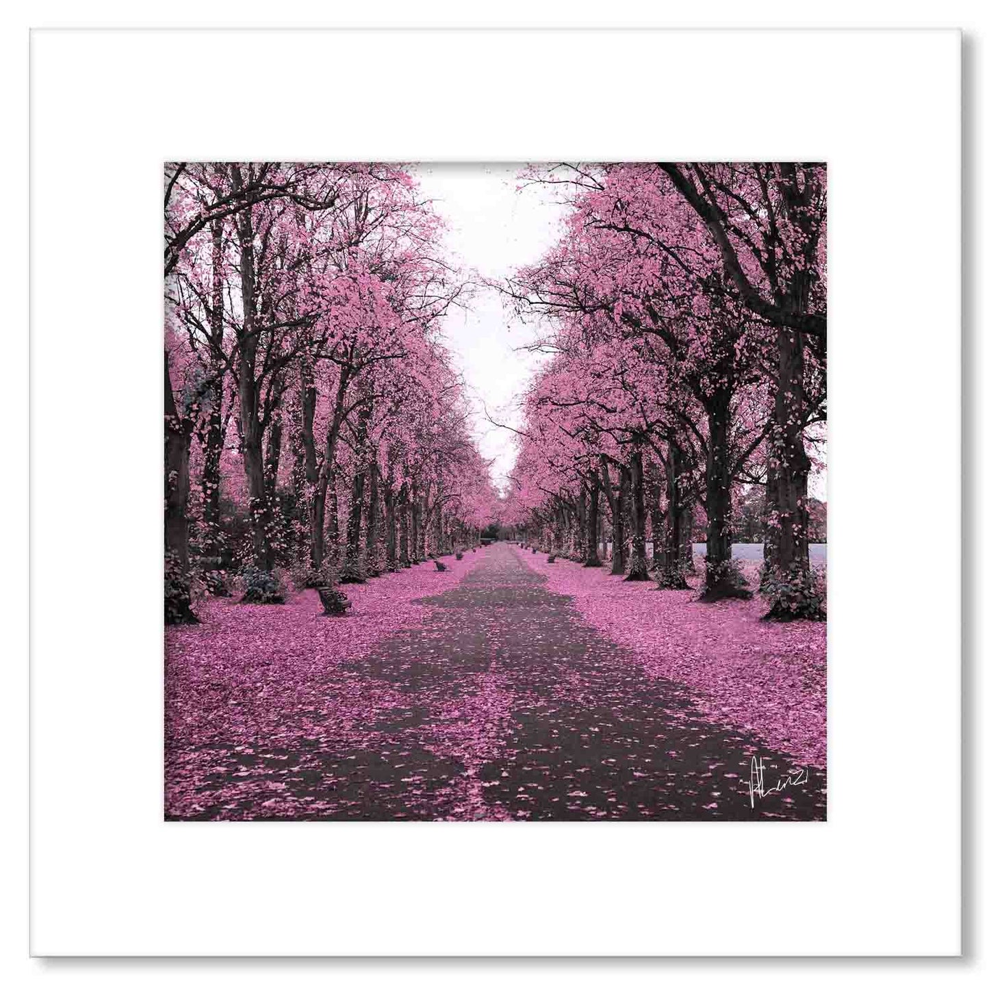 Trees Pink Painting Print