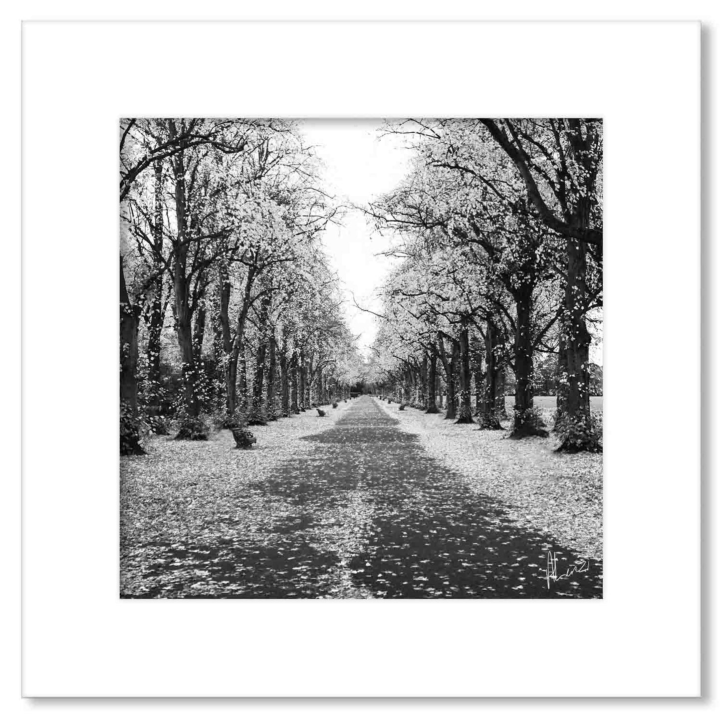 Silver Tree Line Liquid Foil Print