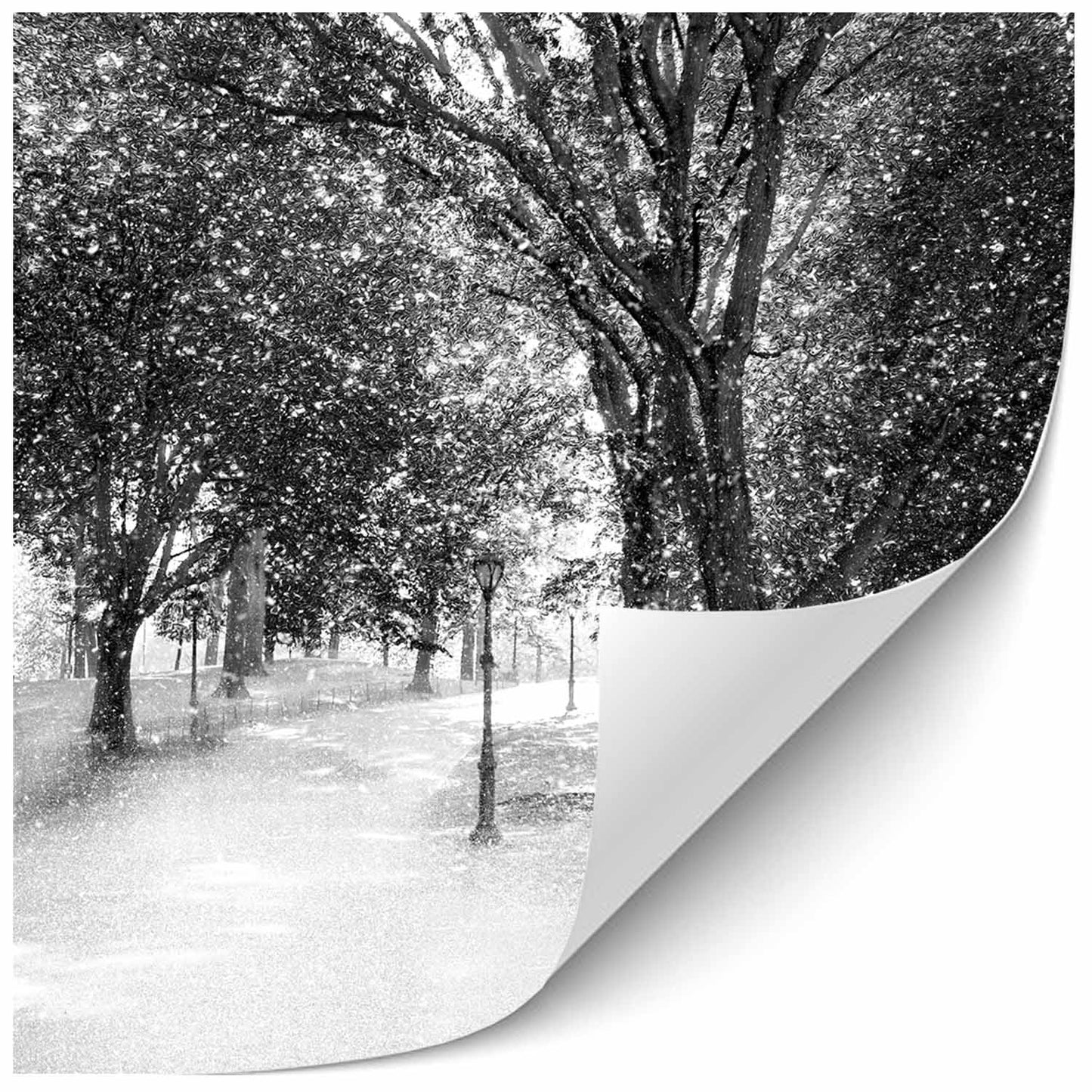 Path Silver Painting Print