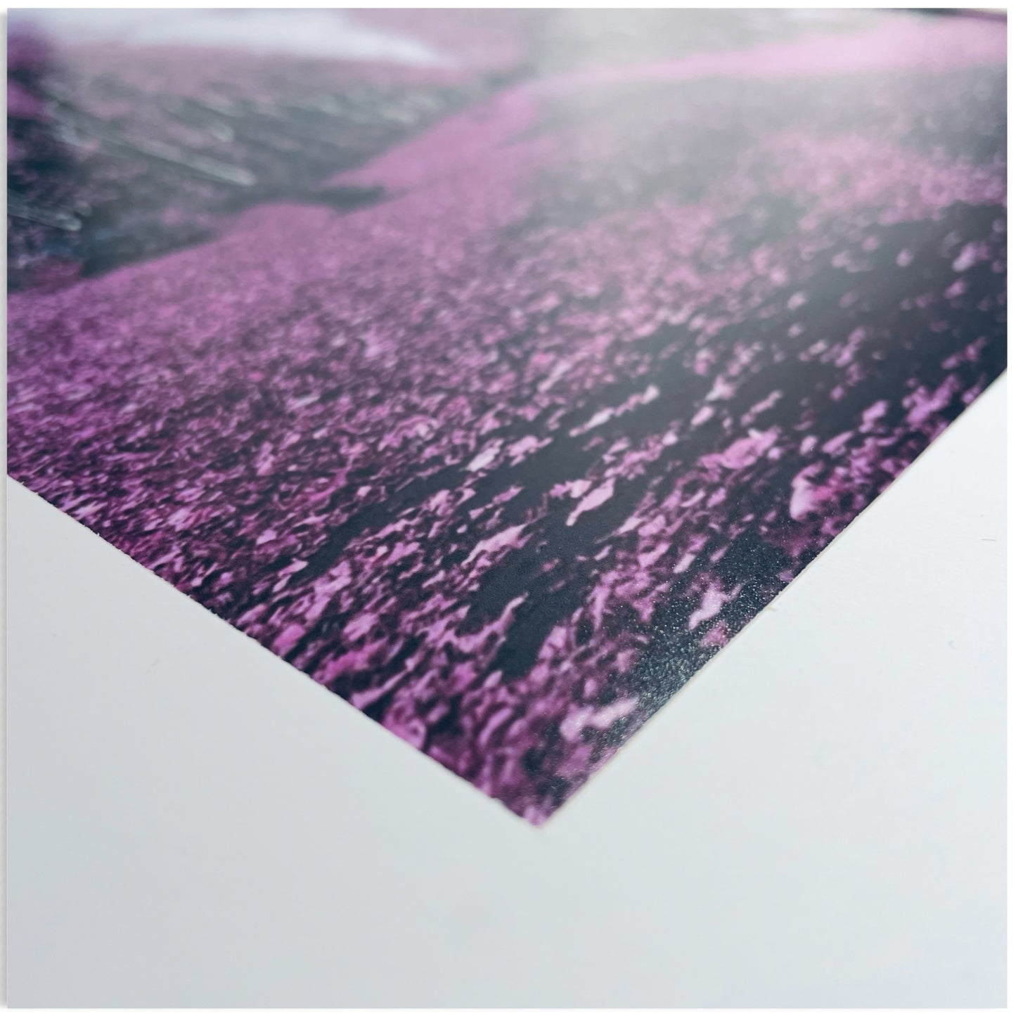 Trees Pink Painting Print