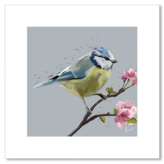 Blue Tit Garden Bird Painting Blue Print