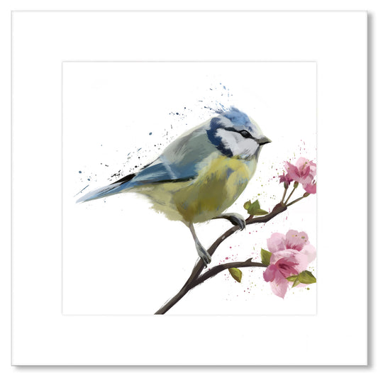 Blue Tit Garden Bird Painting White Print