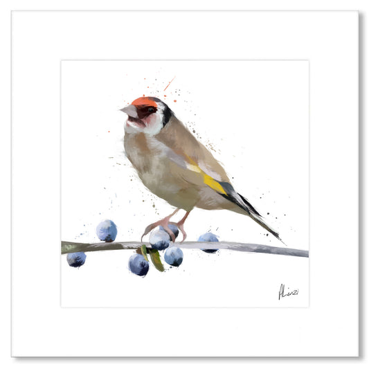 Goldfinch Bird Painting White Print