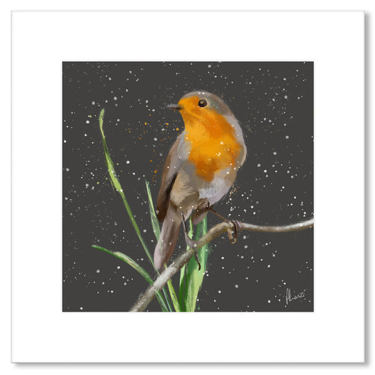 Robin Bird Painting Grey Print