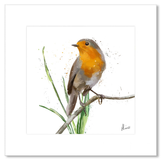 Robin Bird Painting White Print