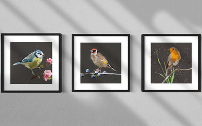 Goldfinch Bird Grey Painting Print Framed