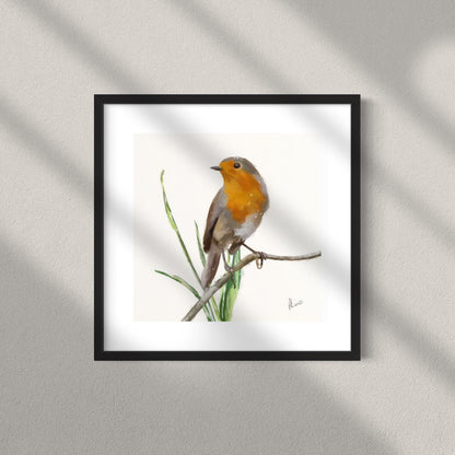 Winter Robin White Painting Print Framed