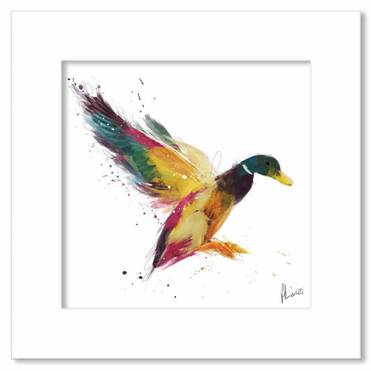 Duck Multicoloured Painting Print