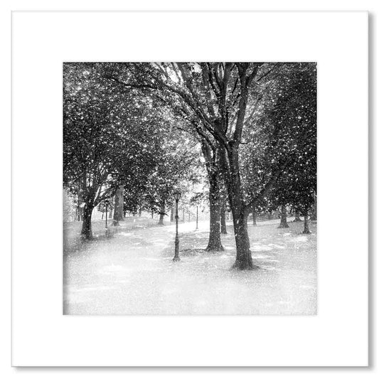 Path Silver Painting Print
