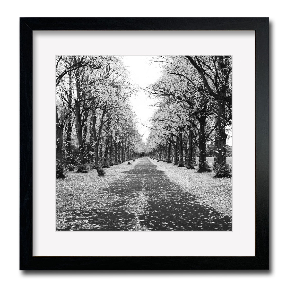 Treeline Silver Print - Framed Wall Art