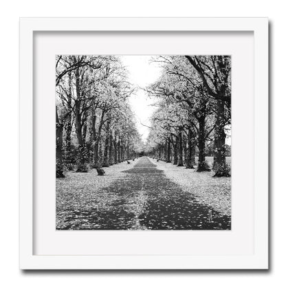 Treeline Silver Print - Framed Wall Art