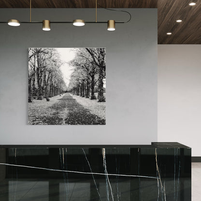 Black and White Woodland Tree Line on Canvas