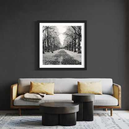 Treeline Silver Print - Framed Wall Art