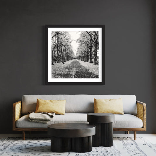 Treeline Silver Print - Framed Wall Art